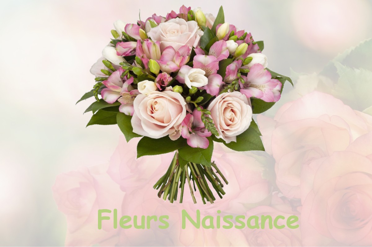 fleurs naissance VENISEY