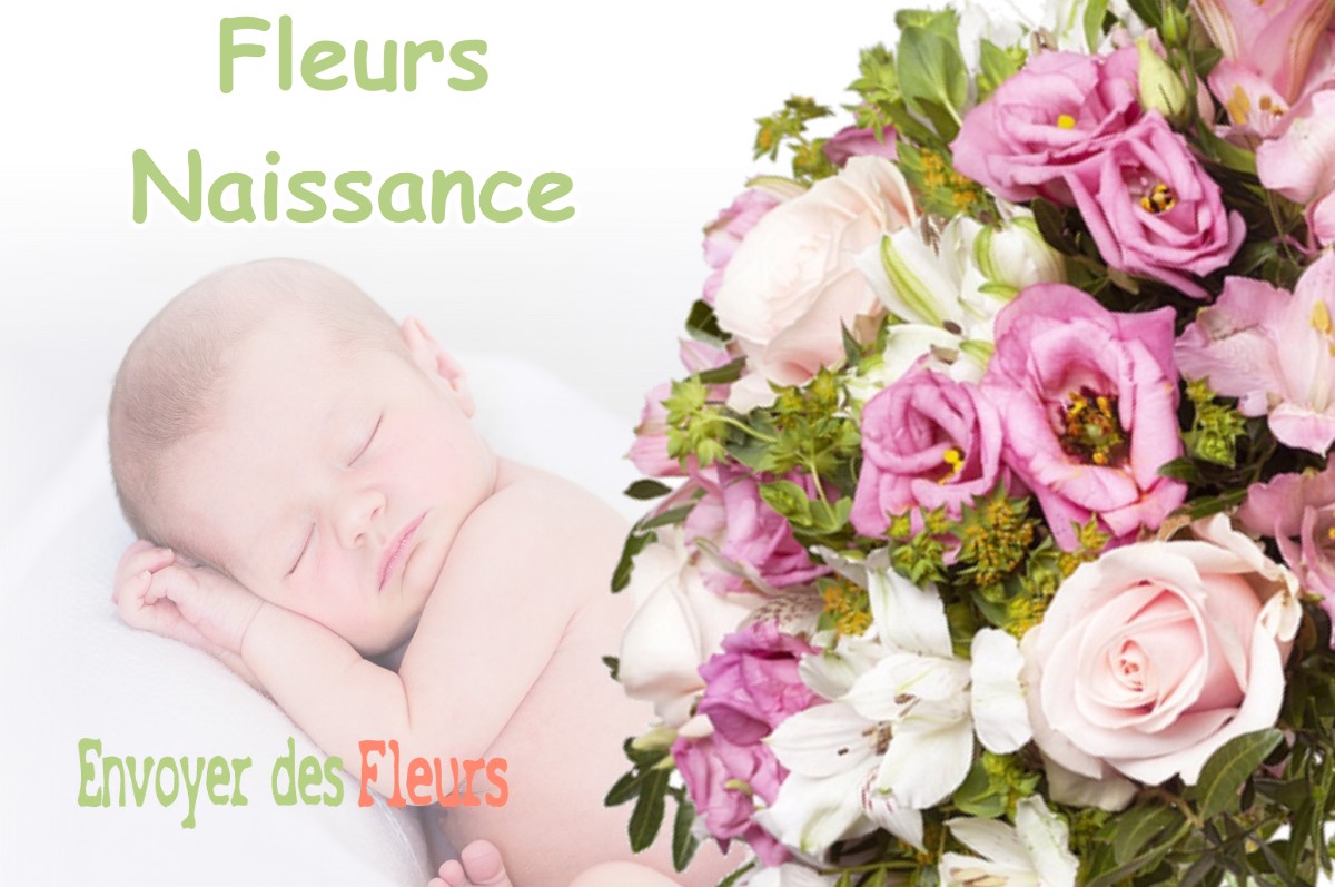 lIVRAISON FLEURS NAISSANCE à VENISEY