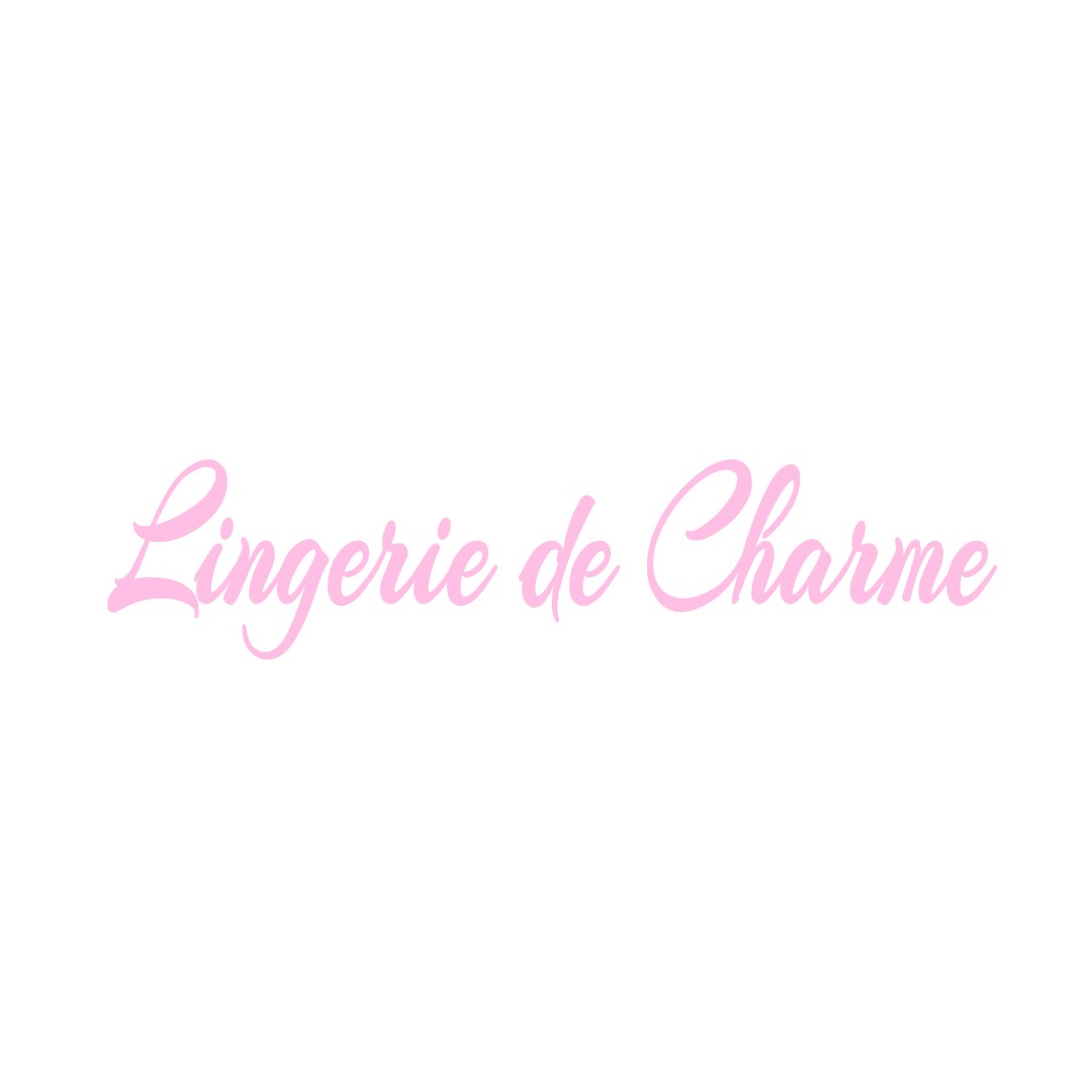 LINGERIE DE CHARME VENISEY